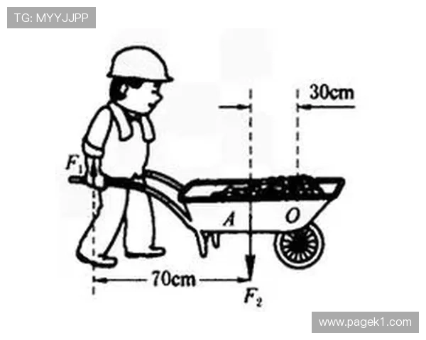 劳塔罗与凯恩支点作用与组织能力对比分析