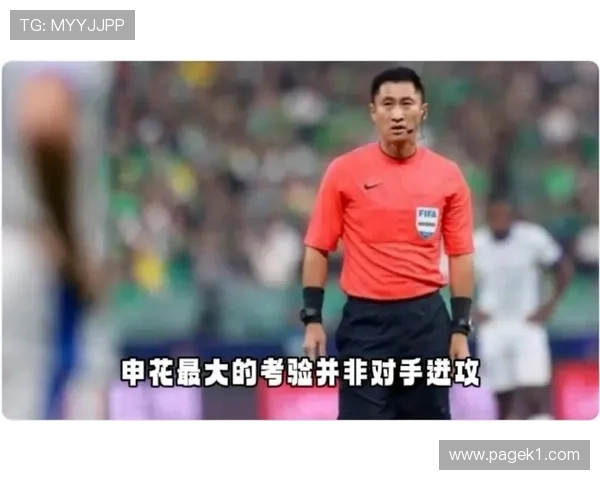 上海申花关键战表现波动问题逐步反映，稳定性面临考验